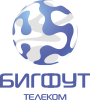 Bigfoot Telecom Ltd.