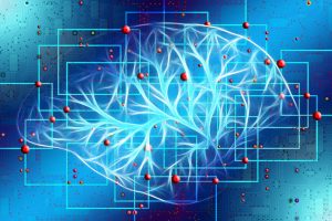 BMWi Innovation Competition: eco-Supported AI Consortium Receives Funding Approval