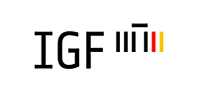 Internet Governance Forum 2019