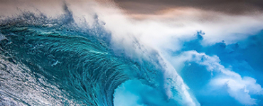 Surfing the Digital Wave to Success