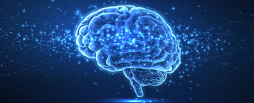 The future of AI in Europe: Code of Practice must be practical and innovation-friendly