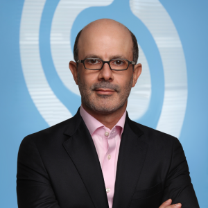 Lexsynergy: Navigating the Future of Domain Management and Brand Protection