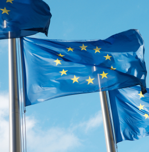 The View from Brussels #48-2025
